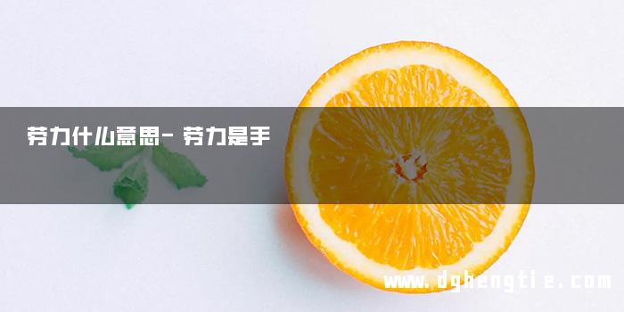 劳力什么意思-劳力是手