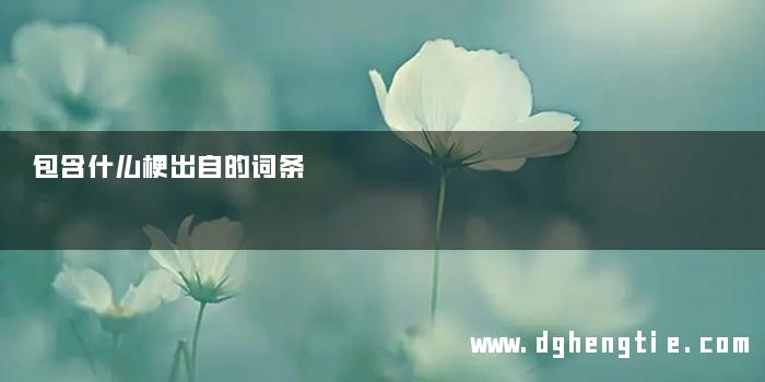 包含什么梗出自的词条