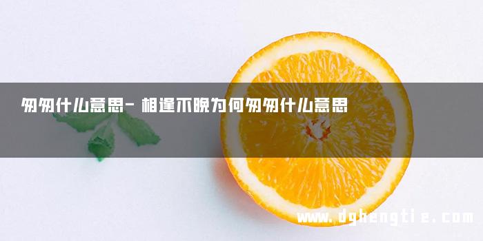 匆匆什么意思-相逢不晚为何匆匆什么意思