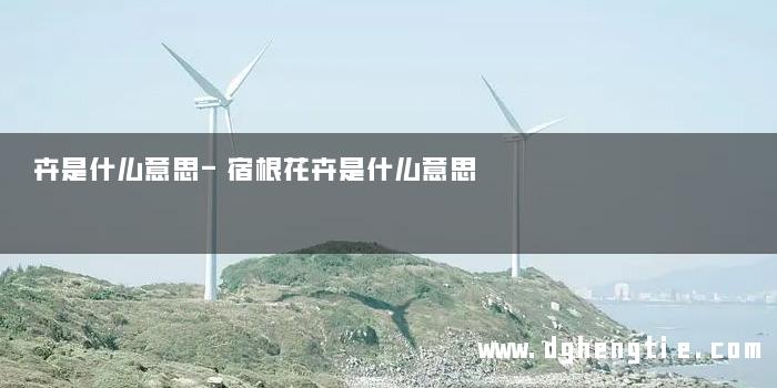 卉是什么意思-宿根花卉是什么意思
