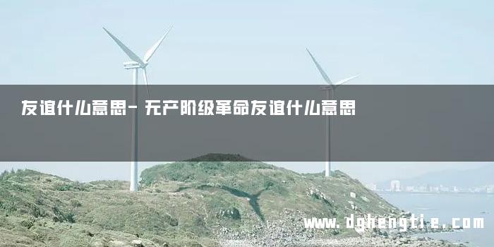 友谊什么意思-无产阶级革命友谊什么意思