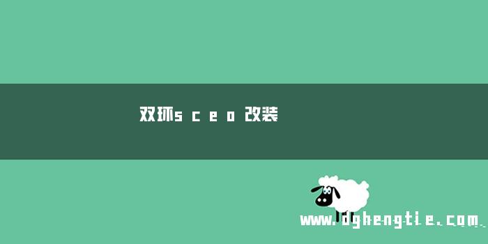 双环sceo改装