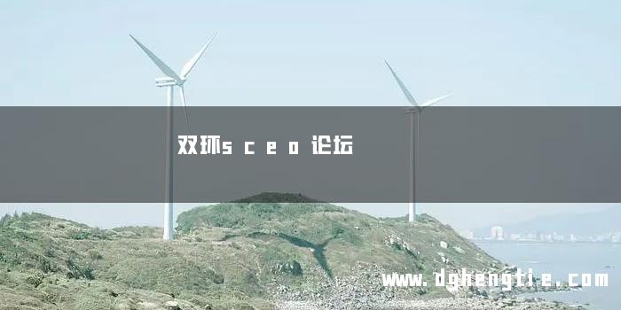 双环sceo论坛