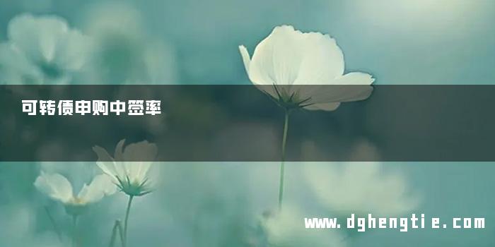 可转债申购中签率