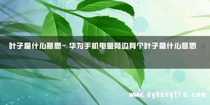 叶子是什么意思-华为手机电量旁边有个叶子是什么意思