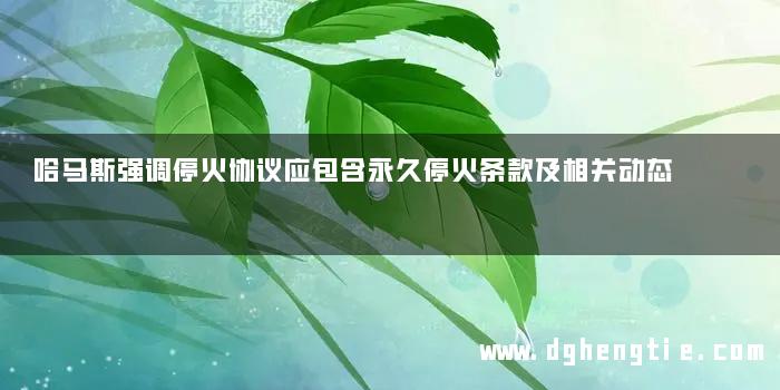 哈马斯强调停火协议应包含永久停火条款及相关动态
