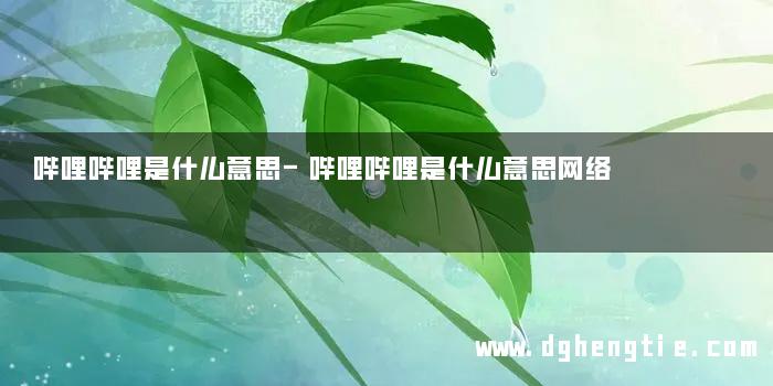 哔哩哔哩是什么意思-哔哩哔哩是什么意思网络