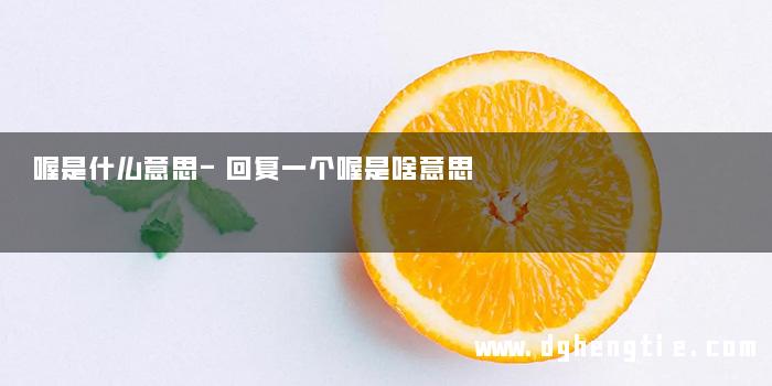 喔是什么意思-回复一个喔是啥意思