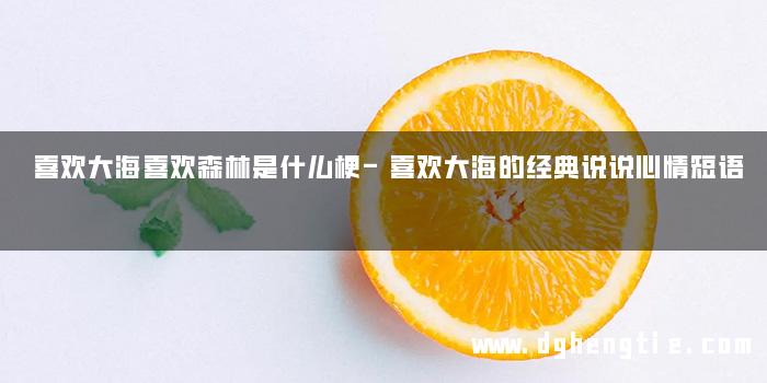 喜欢大海喜欢森林是什么梗-喜欢大海的经典说说心情短语