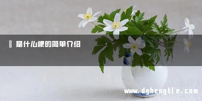 嘂是什么梗的简单介绍