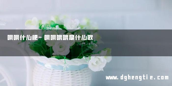 噢噢什么梗-噢噢哦哦是什么歌