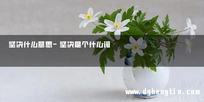 坚决什么意思-坚决是个什么词