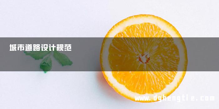 城市道路设计规范