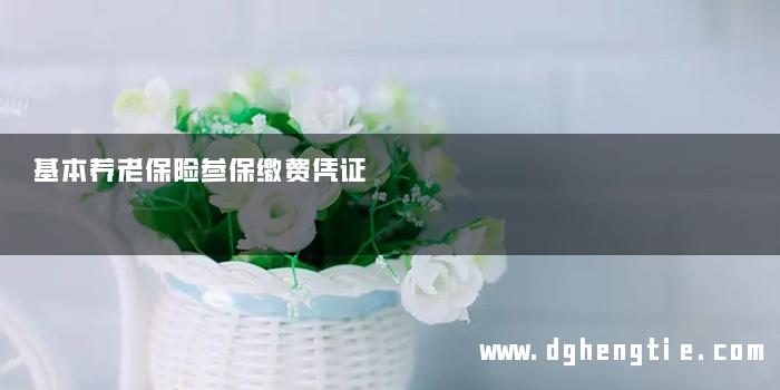 基本养老保险参保缴费凭证