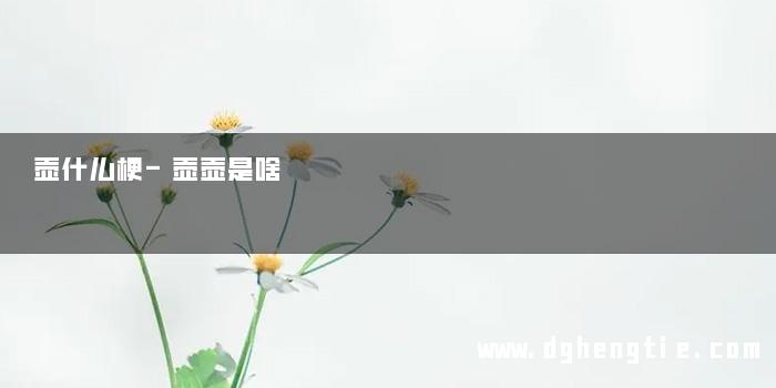 壶什么梗-壶壶是啥