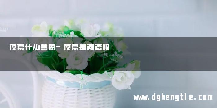 夜幕什么意思-夜幕是词语吗