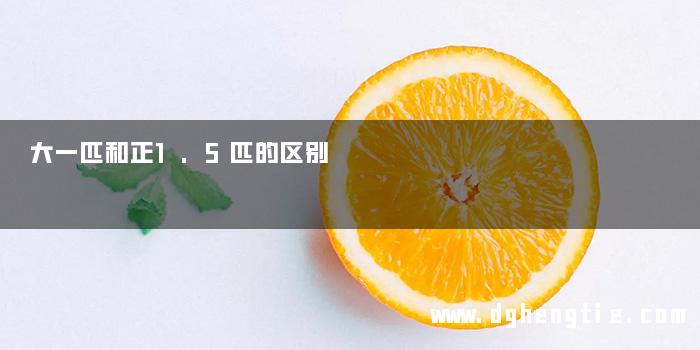 大一匹和正1.5匹的区别