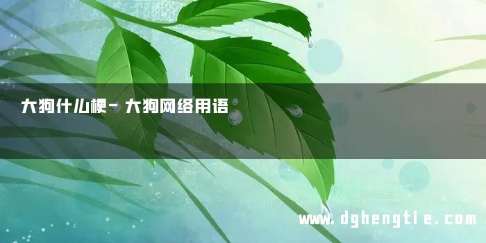 大狗什么梗-大狗网络用语