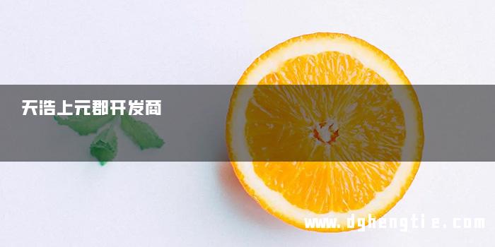 天浩上元郡开发商