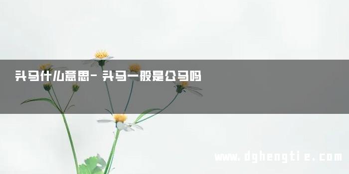 头马什么意思-头马一般是公马吗