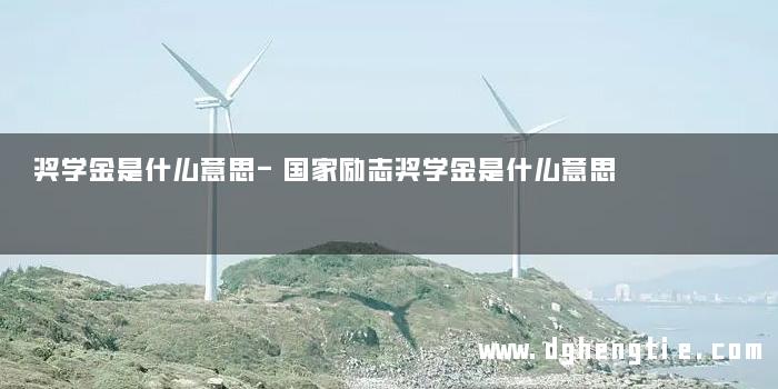 奖学金是什么意思-国家励志奖学金是什么意思
