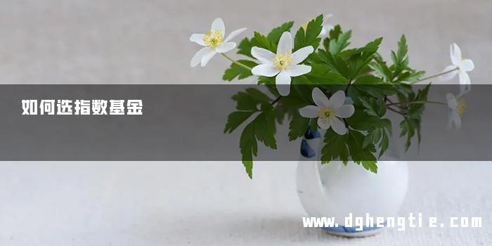 如何选指数基金