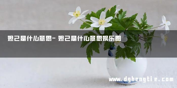 妲己是什么意思-妲己是什么意思娱乐圈