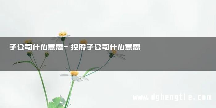 子公司什么意思-控股子公司什么意思