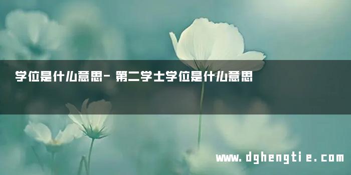 学位是什么意思-第二学士学位是什么意思