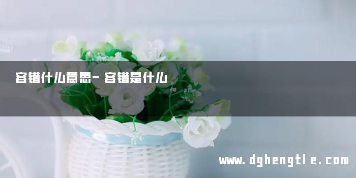 容错什么意思-容错是什么