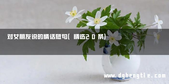 对女朋友说的情话短句（精选20条）