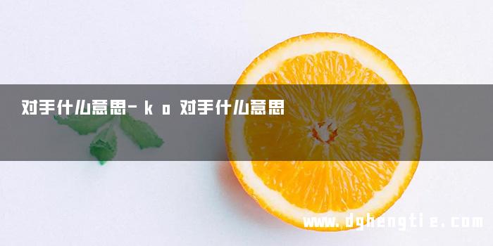 对手什么意思-ko对手什么意思
