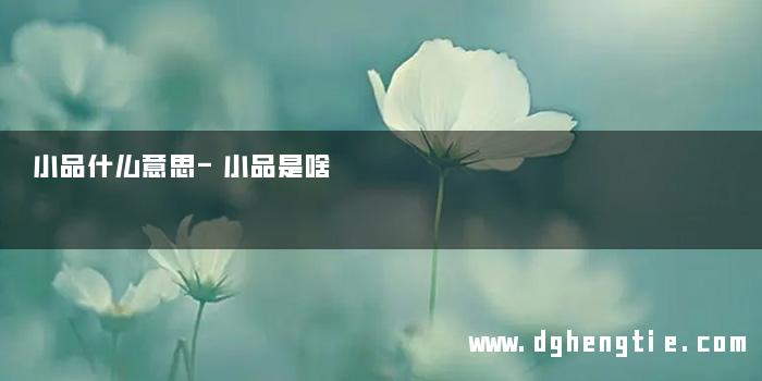 小品什么意思-小品是啥