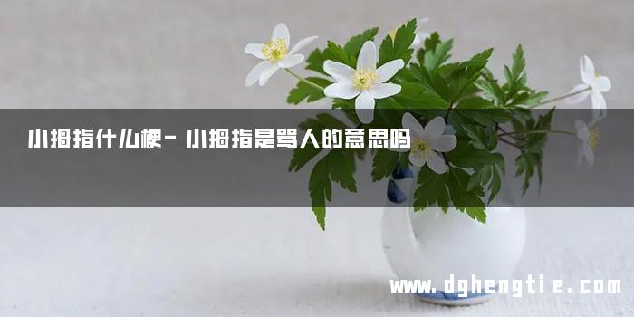 小拇指什么梗-小拇指是骂人的意思吗