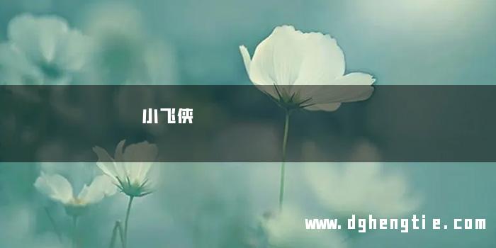 小飞侠