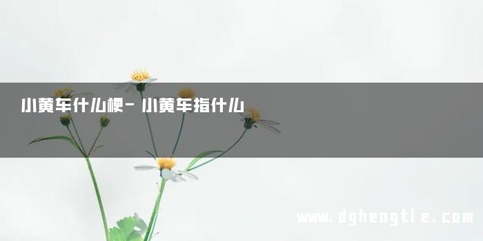 小黄车什么梗-小黄车指什么