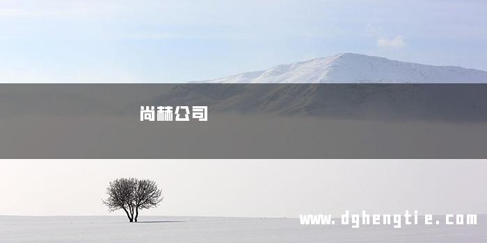 尚赫公司
