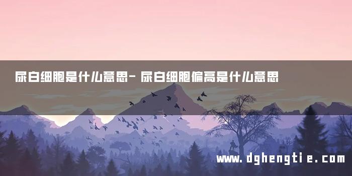 尿白细胞是什么意思-尿白细胞偏高是什么意思