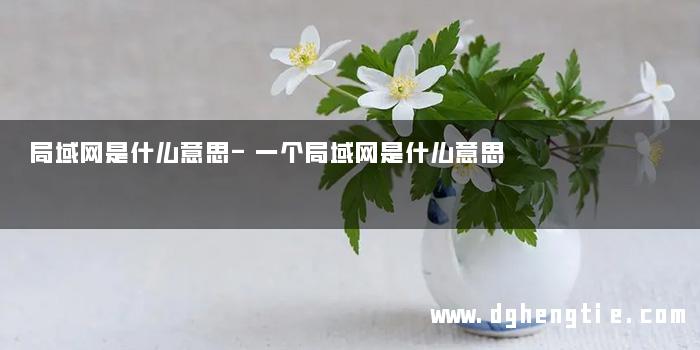 局域网是什么意思-一个局域网是什么意思