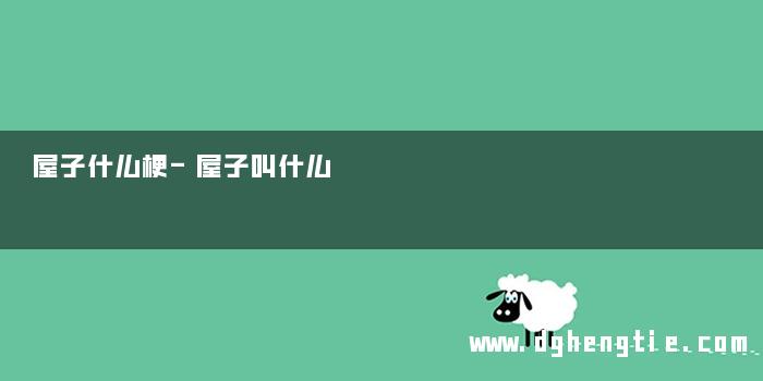 屋子什么梗-屋子叫什么