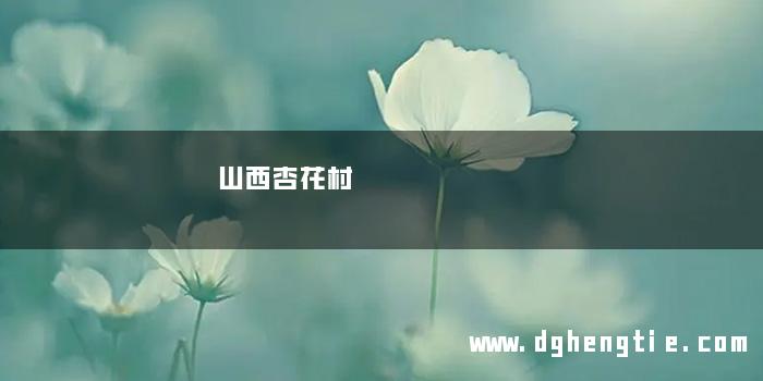 山西杏花村