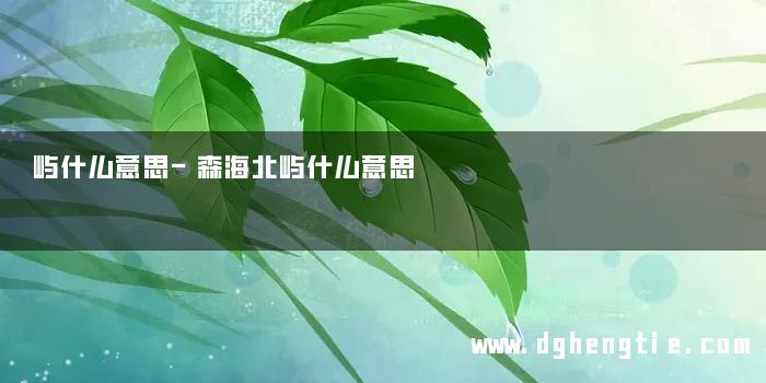 屿什么意思-森海北屿什么意思