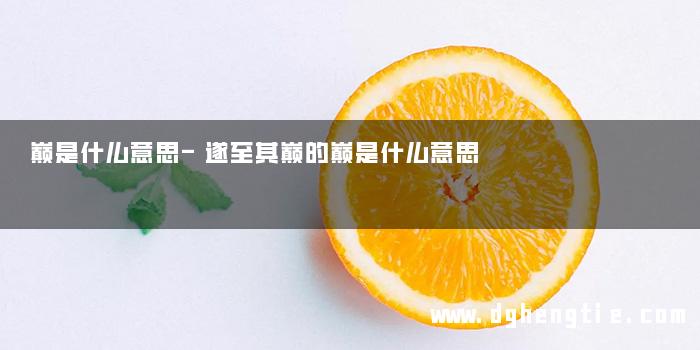 巅是什么意思-遂至其巅的巅是什么意思