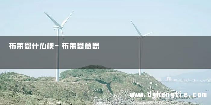 布莱恩什么梗-布莱恩意思