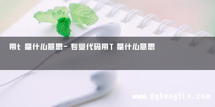 带t是什么意思-专业代码带T是什么意思
