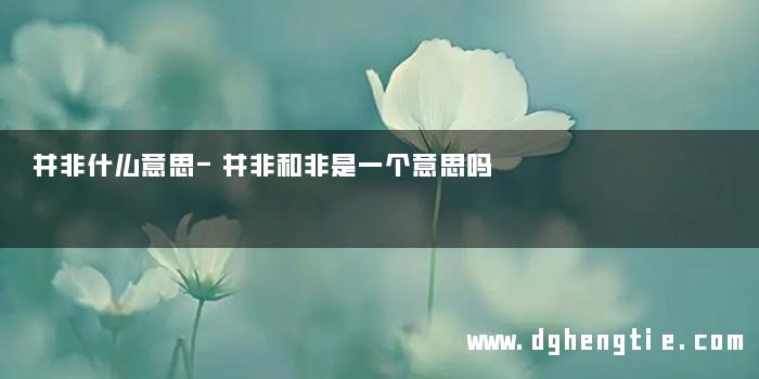 并非什么意思-并非和非是一个意思吗