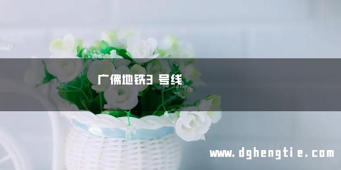 广佛地铁3号线
