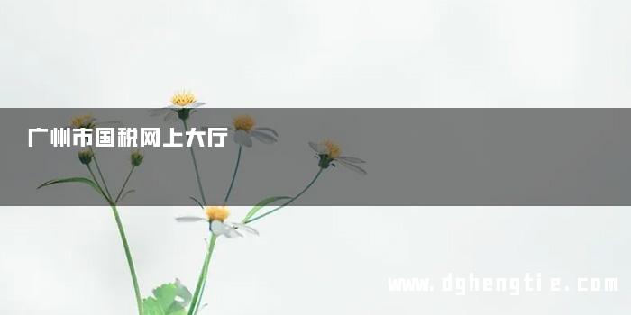 广州市国税网上大厅