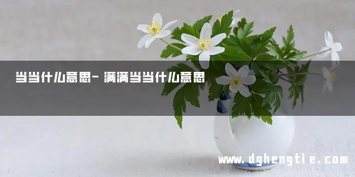 当当什么意思-满满当当什么意思