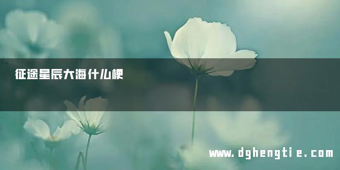 征途星辰大海什么梗